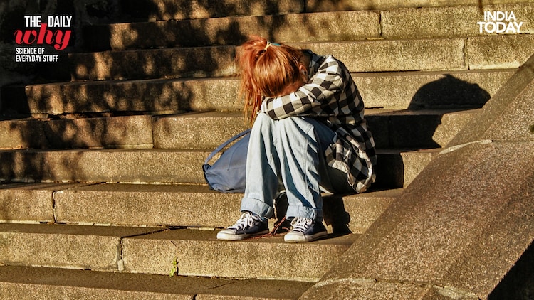 Grief is not just an emotion. It is a measurable neurological event. When we lose someone we love, the brain's reward circuits, amygdala, and prefrontal cortex all undergo significant changes, leaving people foggy, anxious, and in what feels very much like physical pain. (Photo: Unsplash/Pexels)