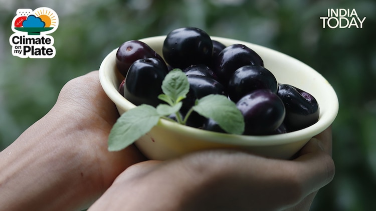 A bowl of fresh jamun alongside a glass of jamun juice. Rich in antioxidants and low in calories, jamun has been used in Ayurvedic medicine for centuries, particularly for its role in supporting diabetes management. (Photo: Unsplash/Pexels)