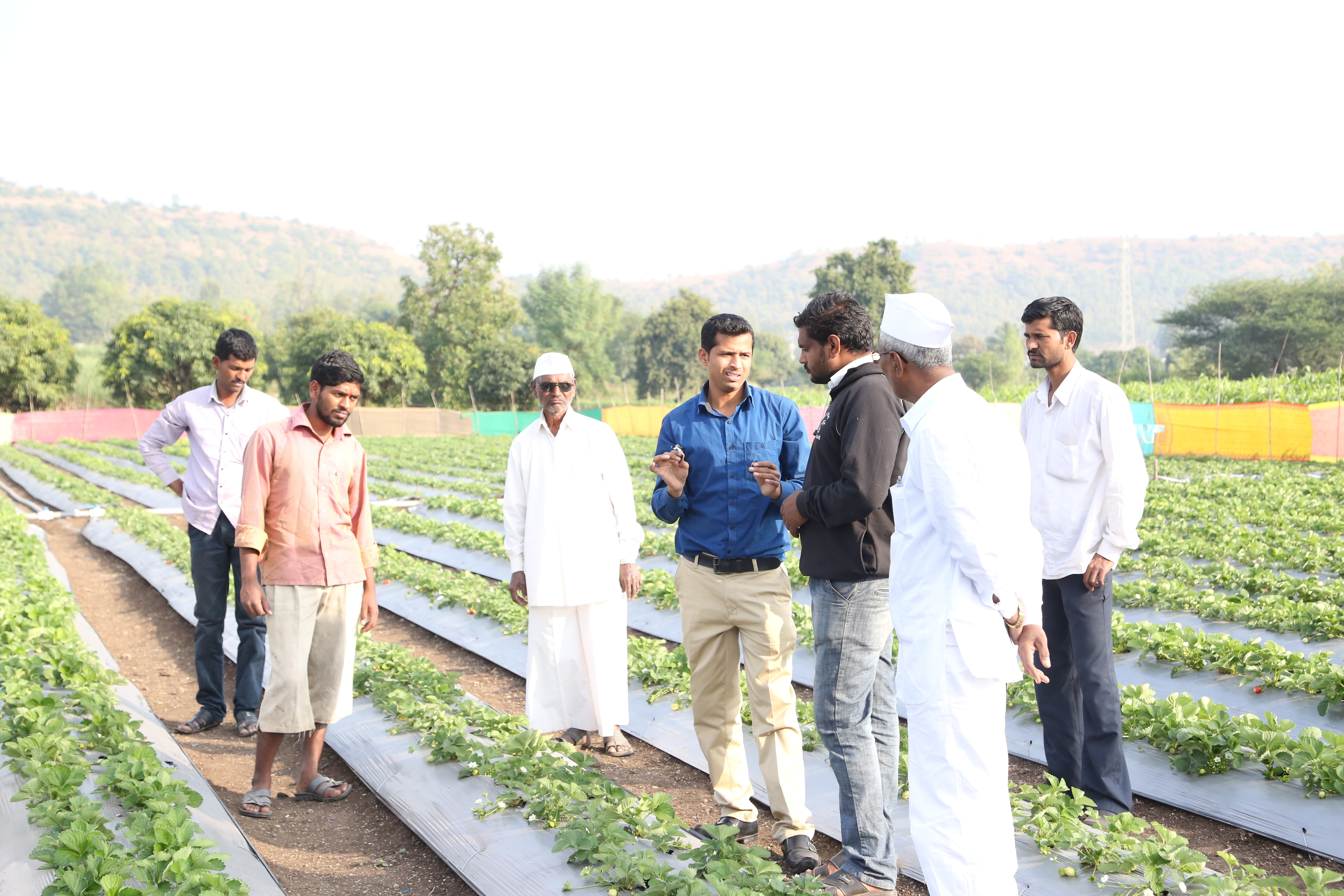 World Environment Day, rural entrepreneurs, climate change, case studies, sustainable entrepreneurship, rural India, solar energy, mulching technology, biodegradable plates, green jobs, climate action, environmental sustainability, BYST