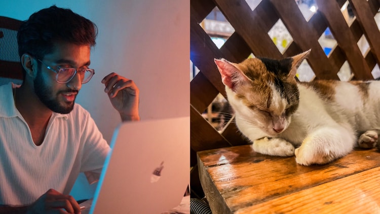 Sudarshan birla, Meowmbai, IIT Guwahati, Mumbai street cats, cat mapping website, student innovation, vibe coding, product manager, AI coding, Claude AI, vibe coding, animal welfare, cat adoption, startup, community platform