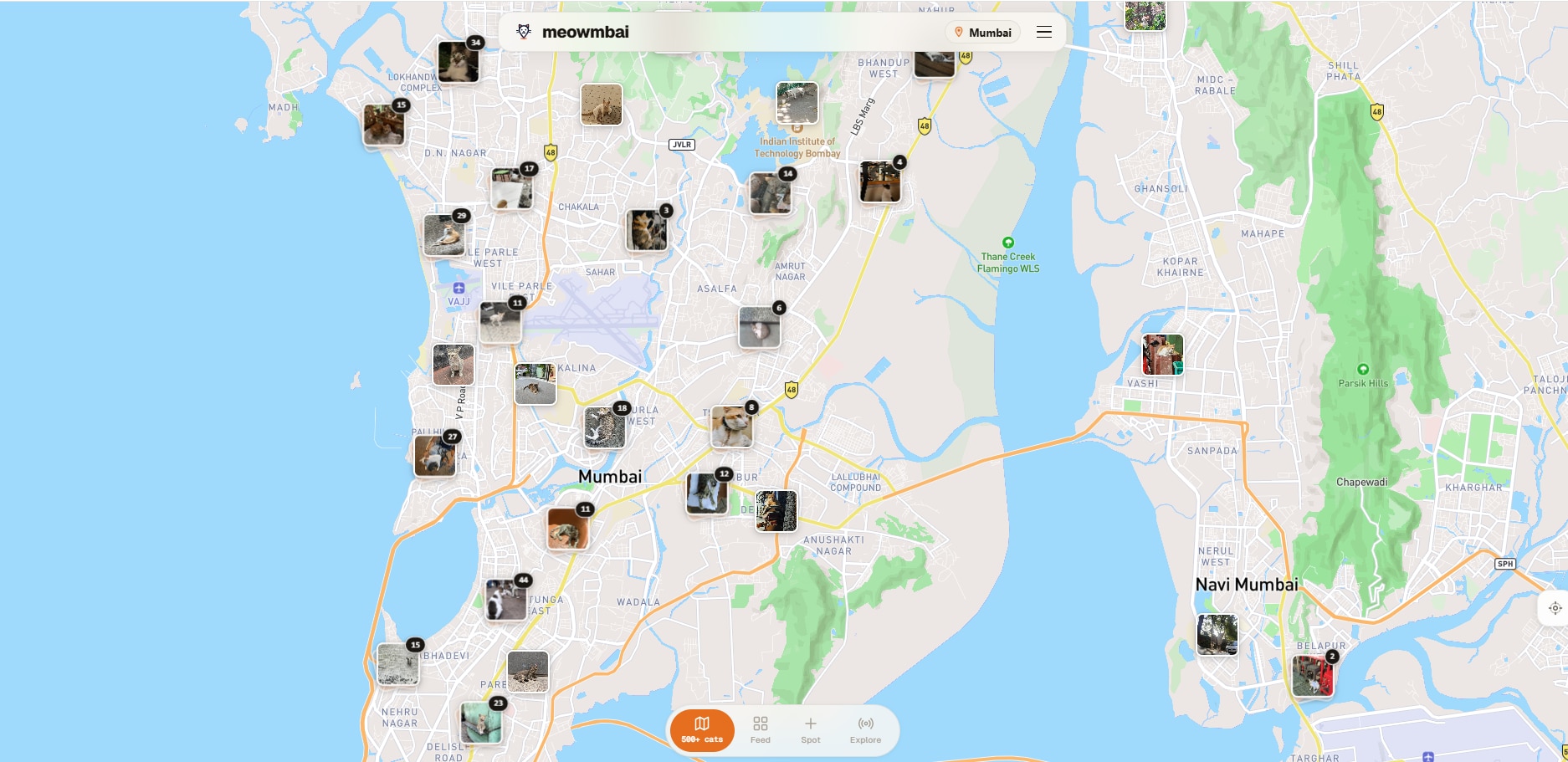 Sudarshan birla, Meowmbai, IIT Guwahati, Mumbai street cats, cat mapping website, student innovation, vibe coding, product manager, AI coding, Claude AI, vibe coding, animal welfare, cat adoption, startup, community platform