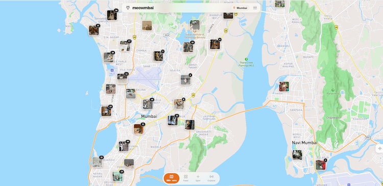 Sudarshan birla, Meowmbai, IIT Guwahati, Mumbai street cats, cat mapping website, student innovation, vibe coding, product manager, AI coding, Claude AI, vibe coding, animal welfare, cat adoption, startup, community platform