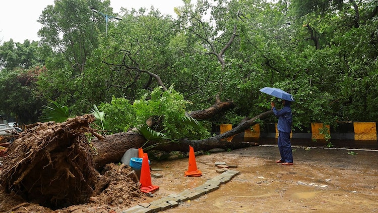 Moisture pulled in from the Bay of Bengal is spreading rain-bearing clouds across the northern plains. (Photo: Reuters)