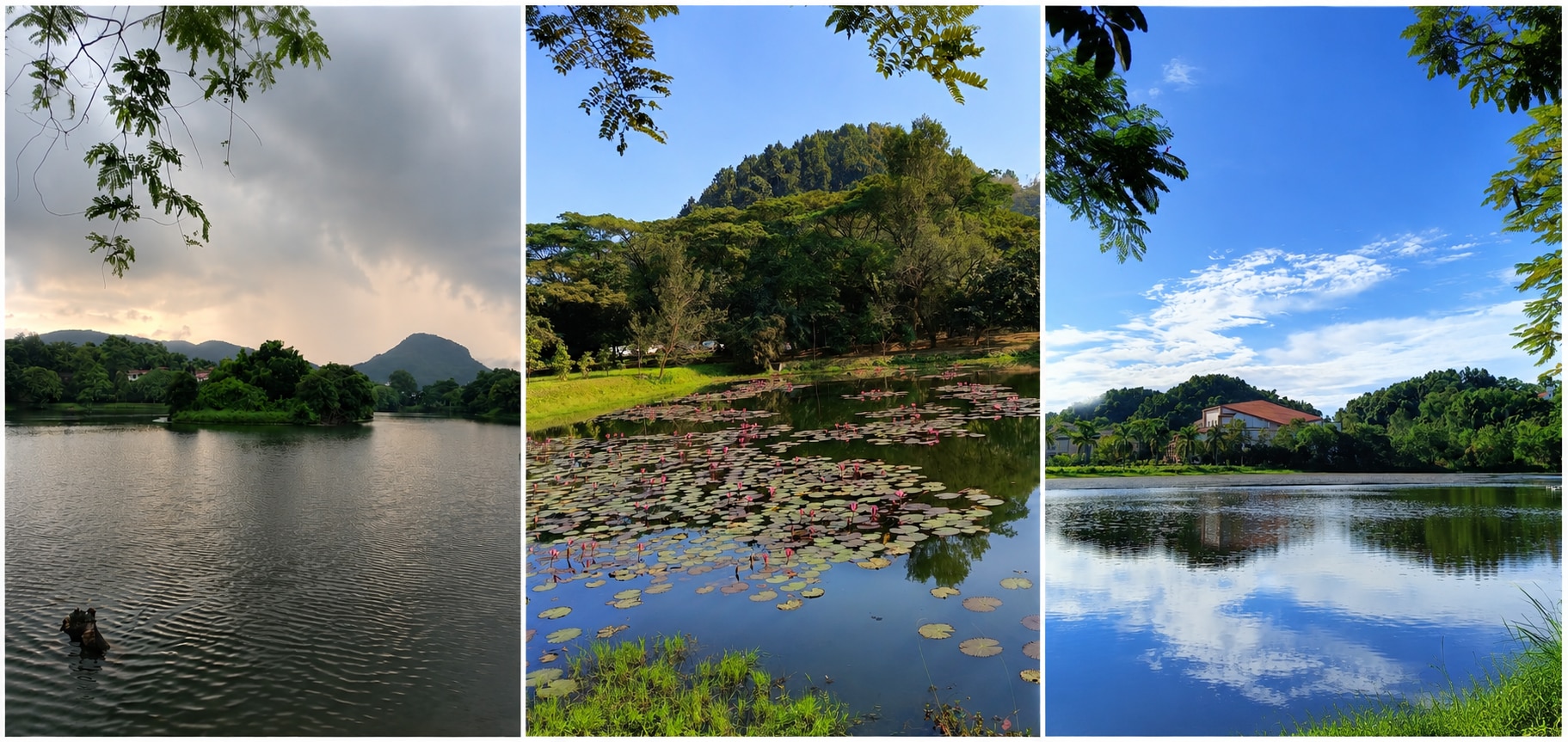Lakes in IIT G