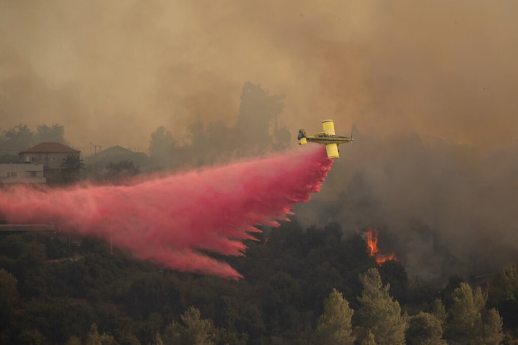 wildfire
