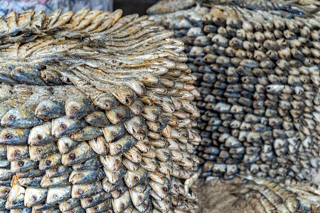 Salted hilsa fish being processed at Chattogram, Bangladesh. (Image: Getty Images)