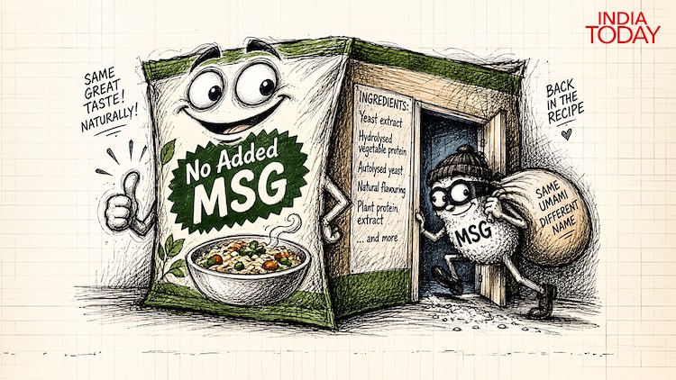 No added MSG smiles bravely from the front of the pack while its old friends slip in through the ingredients list wearing masks. Same flavour, better alibi. (Photo: Vashu Sharma/India Today)