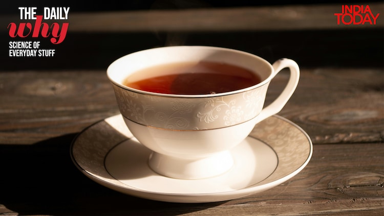 Adhesion and surface tension overpower a slow stream, so the tea hugs the curved lip instead of falling away in a clean arc. (Photo: Unsplash)