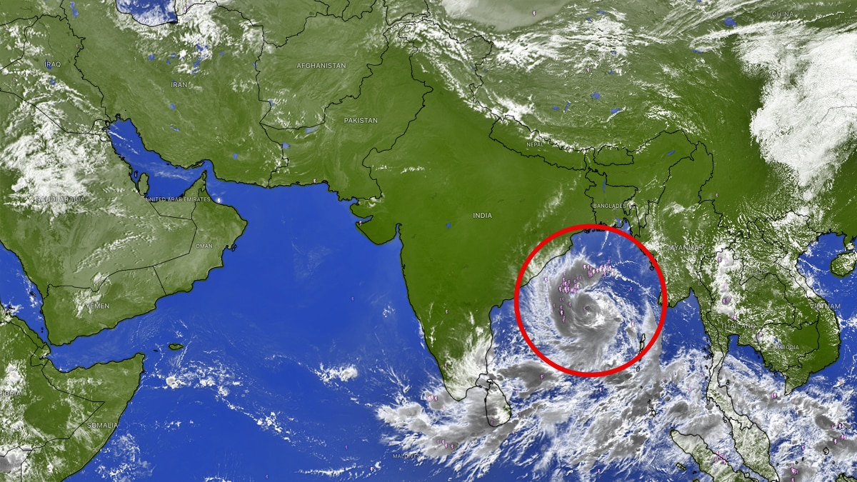 Cyclone