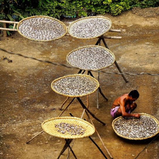 Inside the world's only floating national park Loktak lake in Manipur