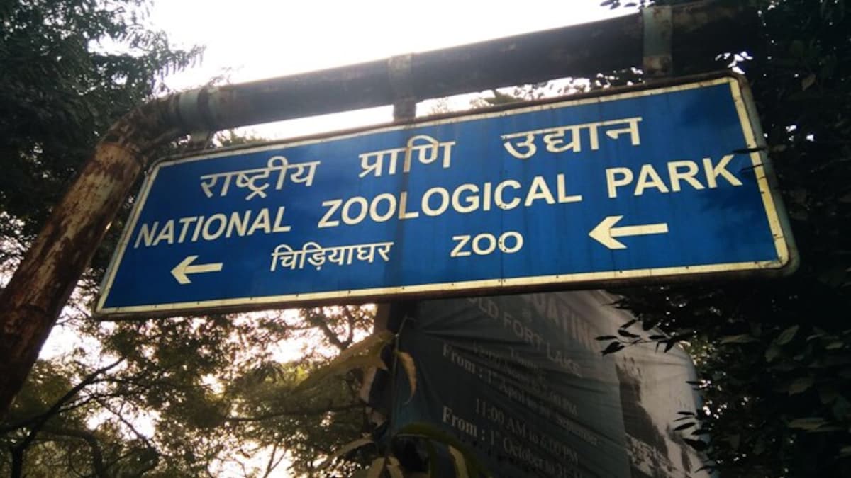 दिल्ली में बढ़ रहा हैं संक्रमण, पहला प्रतिबंध हो सकता हैं लागू. फिर से बंद हो सकता हैं इन जगहों पर प्रवेश बंद 4 Police Bust Mobile Theft Gang, Arrest 1 From Delhi'S Chidiya Ghar - Fyi News