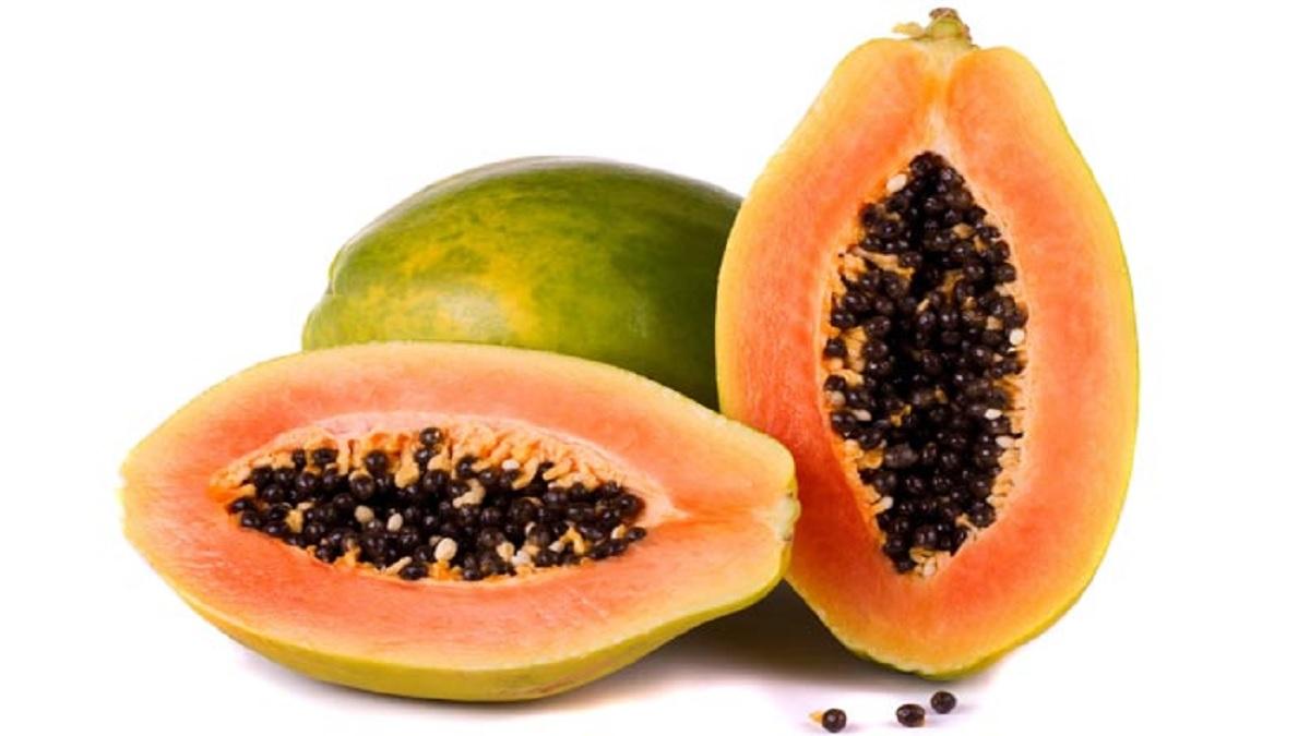 Papaya Leaf Juice Benefits পেঁপের প্রচুর উপকার, তবে এই অংশটির গুণ