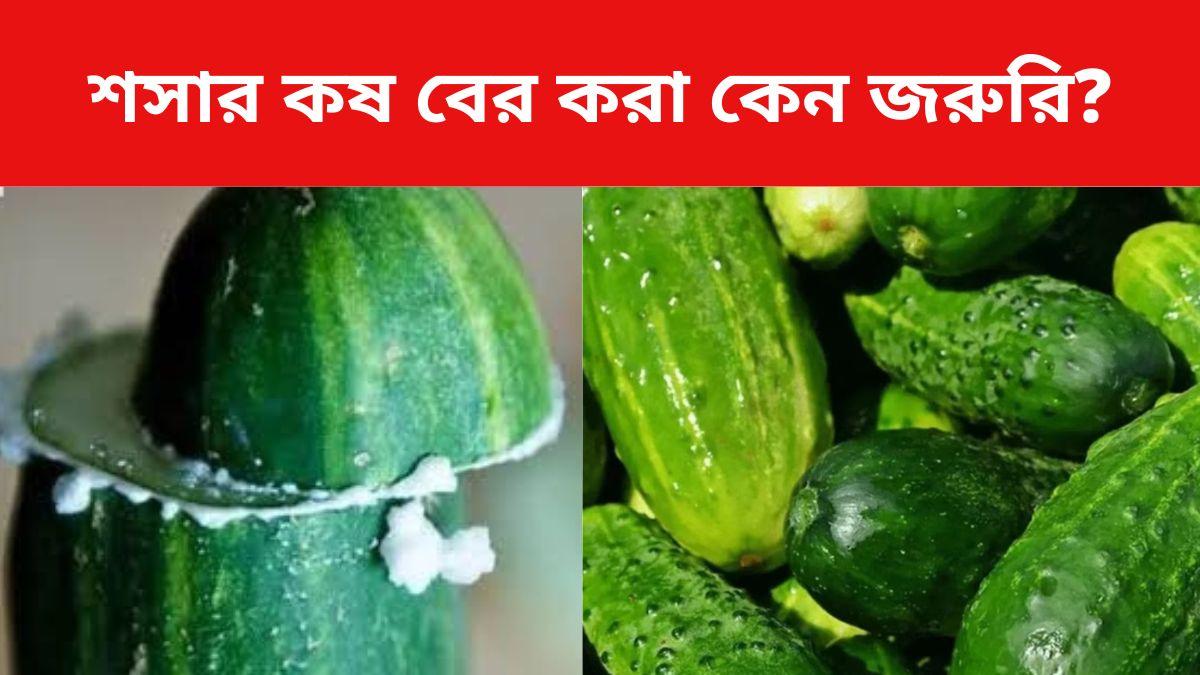 Cucumber Bitterness Remove শসা ঘষে কষ বের না করে খেলে কী হয়? সুস্থ
