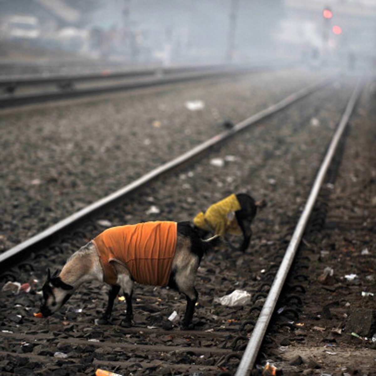 প্রতীকী ছবি