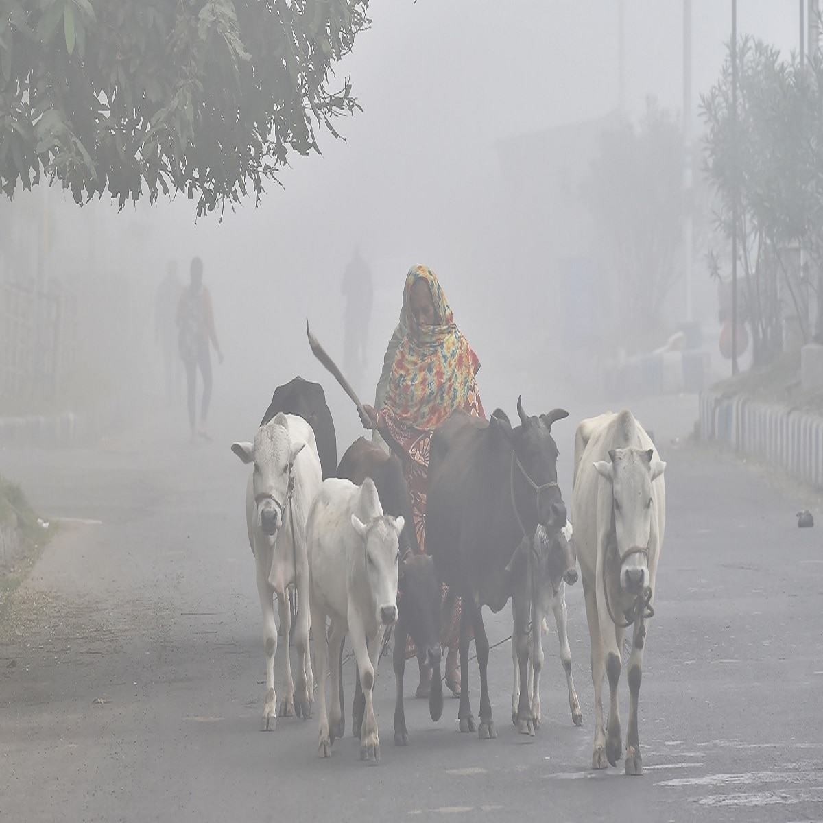 প্রতীকী ছবি
