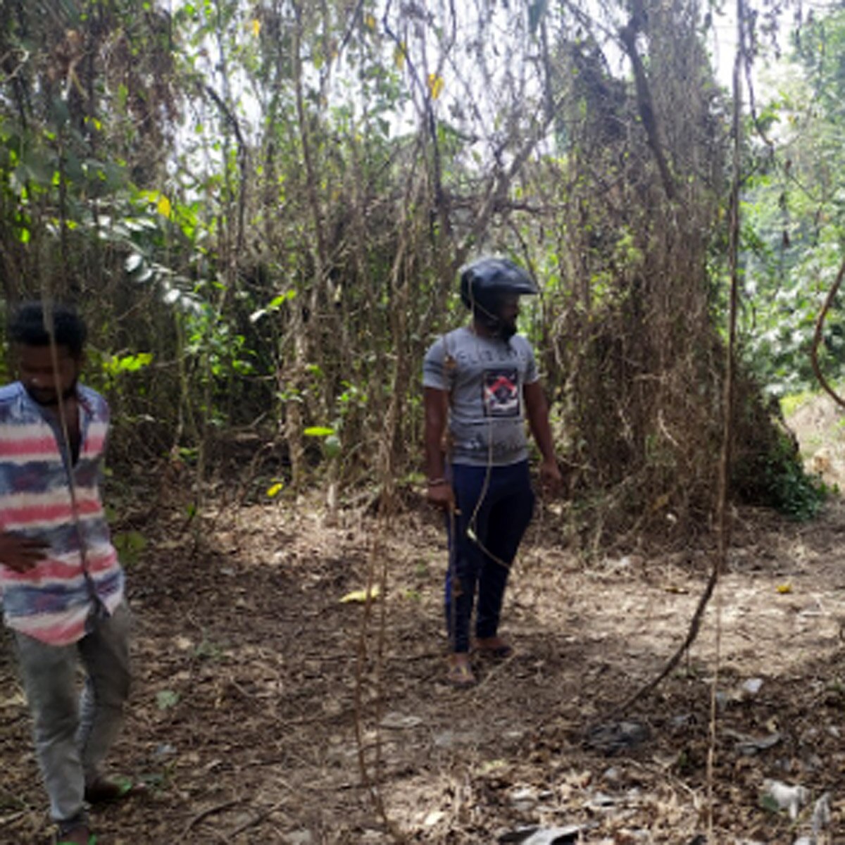 জঙ্গলে উদ্ধার বোমা