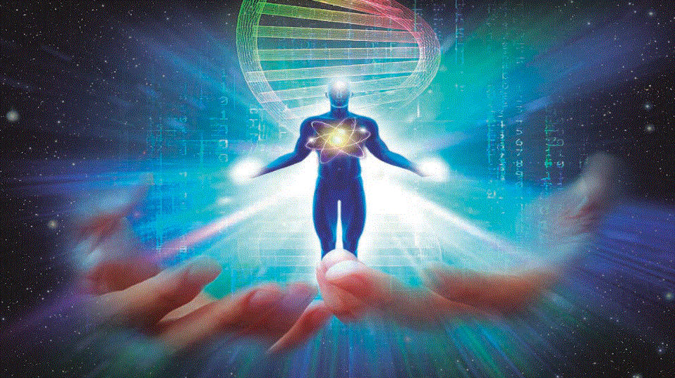 Homosapien Homosapien