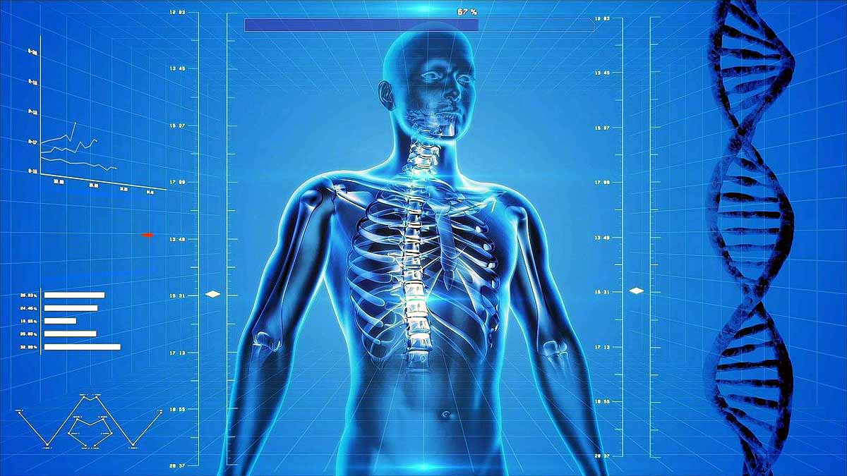 Modern human genome Modern human genome