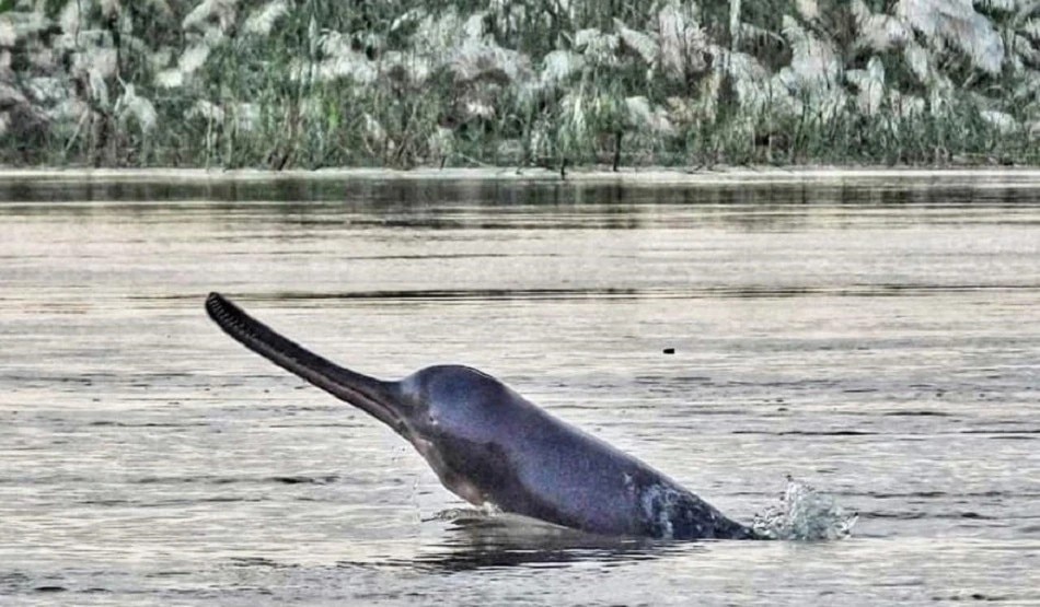 প্রাক্তন