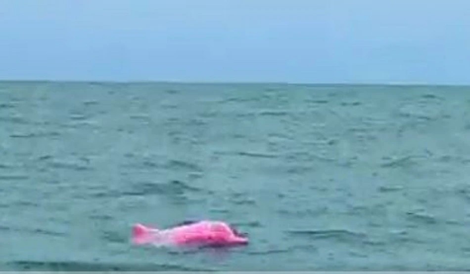 আরও 