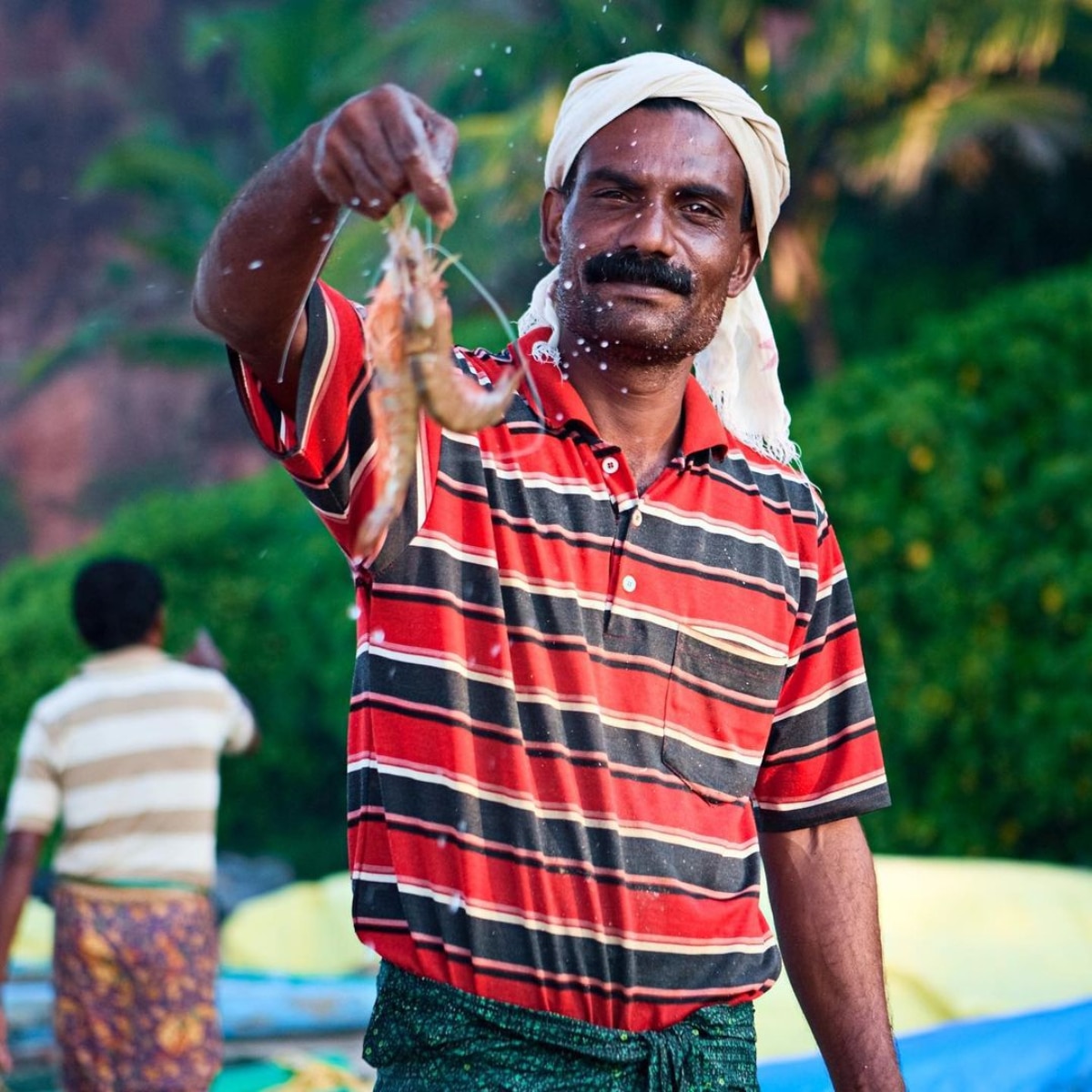 prawn benefits