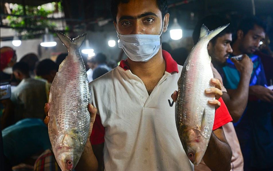 Health Benefits of Hilsa: স্ট্রোক, হার্ট অ্যাটাকের ঝুঁকি কমাতে চান? মন ভরে ইলিশ খান!