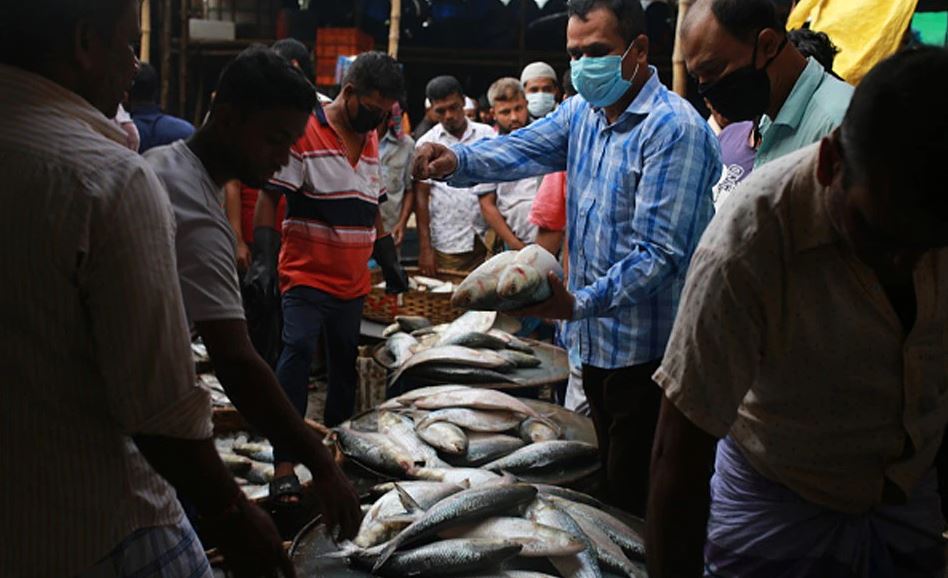 Health Benefits of Hilsa: স্ট্রোক, হার্ট অ্যাটাকের ঝুঁকি কমাতে চান? মন ভরে ইলিশ খান!