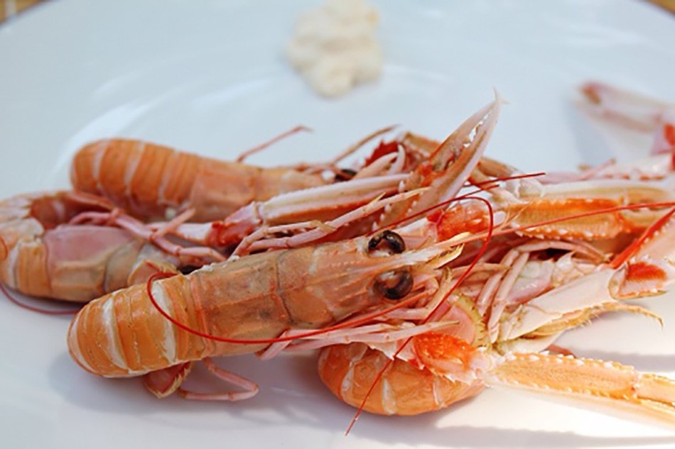 prawn benefits