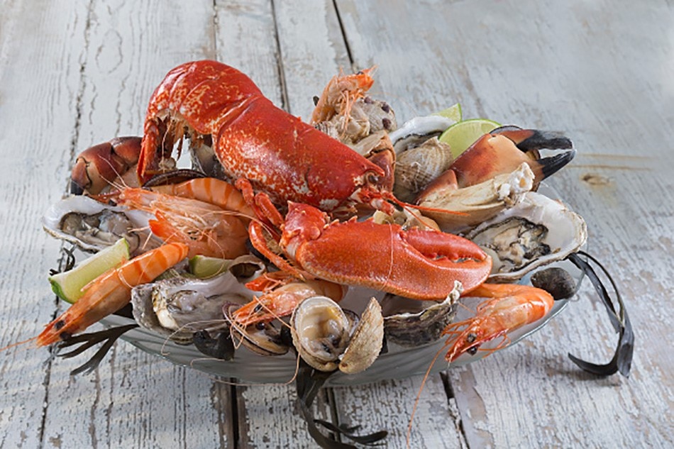 prawn benefits
