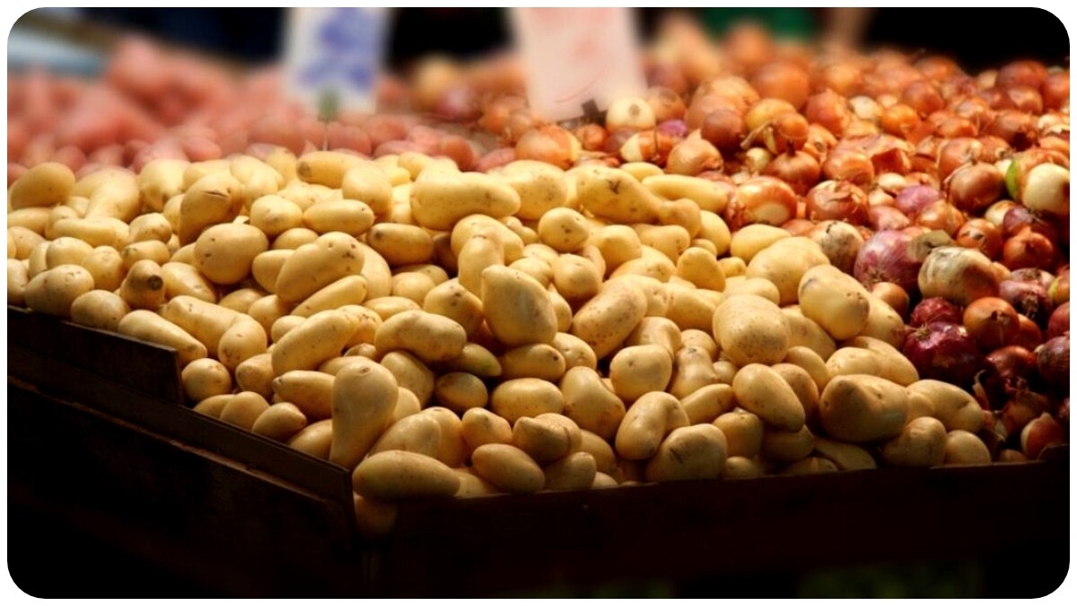 Kolkata Market Rate Today: অগ্নিমূল্য মাছ, ঊর্ধ্বমুখী শাক-সবজির দর!