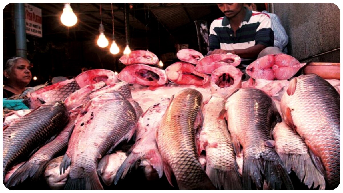 Kolkata Market Rate Today: পুজোর আগেই অগ্নিমূল্য বাজার দর! ফের কি দাম বাড়ল ইলিশের?