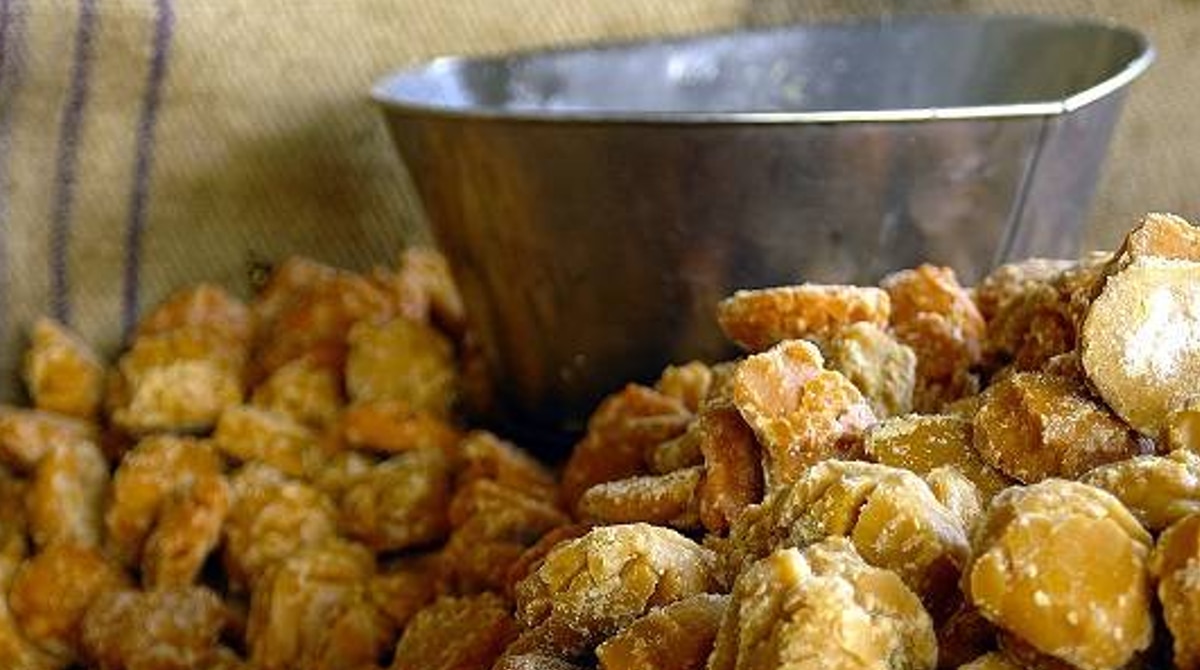 প্রথম মাসে কী করবেন কী করবেন না?