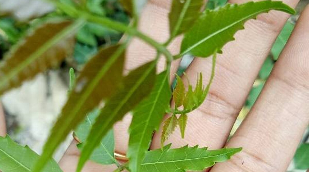 প্রথম মাসে কী করবেন কী করবেন না?