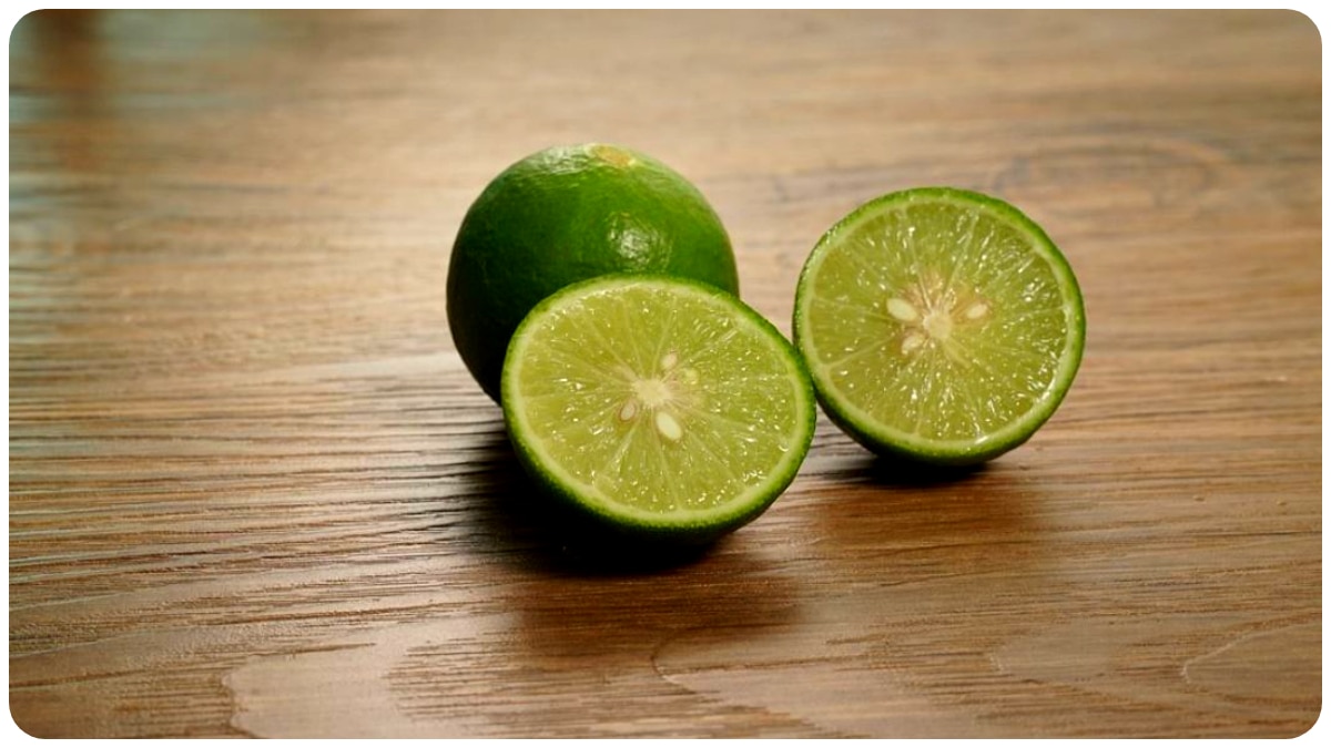  Lemon Price Drop: বেশ কিছুটা সস্তা হল পাতিলেবু, এখন ১০ টাকায় ক'টা?