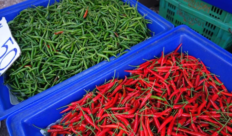  Lemon Price Drop: বেশ কিছুটা সস্তা হল পাতিলেবু, এখন ১০ টাকায় ক'টা?