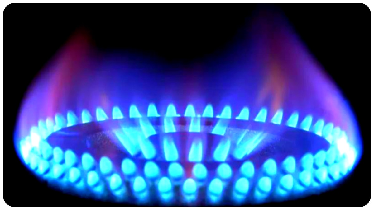 LPG Subsidy: এখন রান্নার গ্যাসে কত টাকা ভর্তুকি পাচ্ছেন, কারা পাচ্ছেন না?