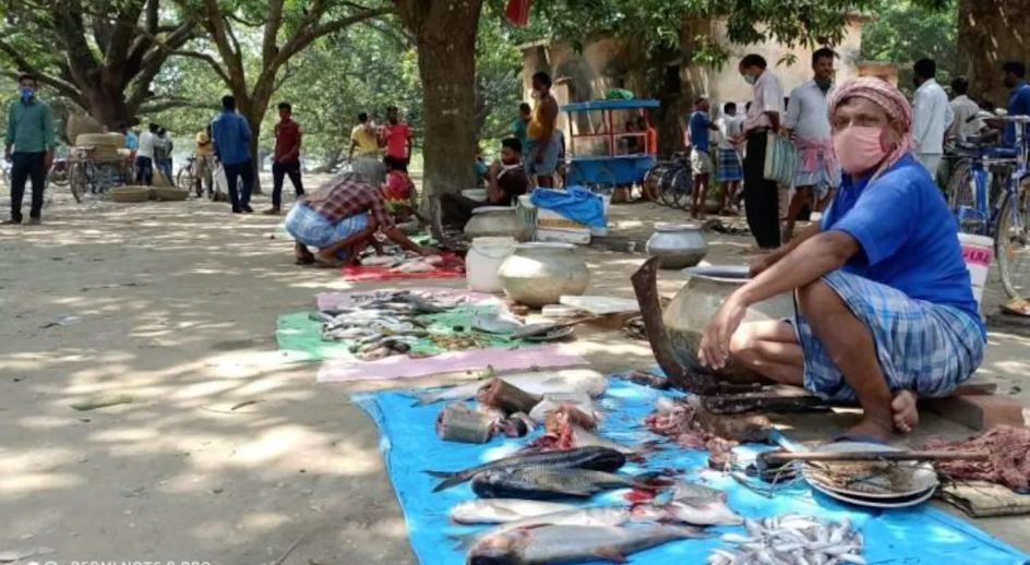 Aajker Bazar Dar: বাজারদর আগুন! জেনে নিন লক্ষ্মীপুজোর আগে সবজি-মাছ-মাংসের দাম