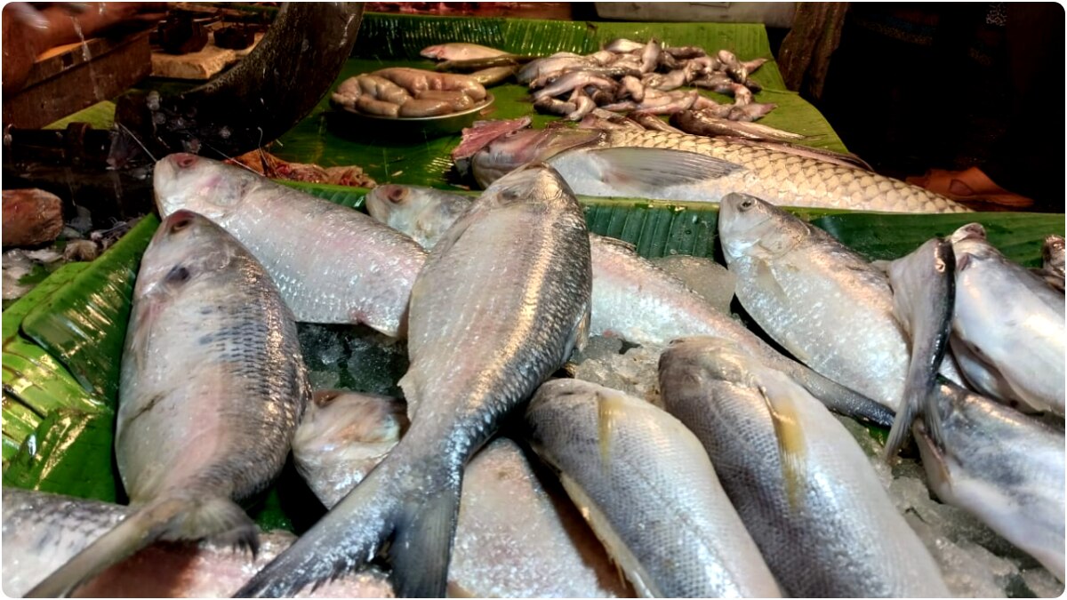 Aajker Bazar Dar: একাদশীতে সস্তায় সবজি-চিকেন, জেনে নিন রুই-কাতলা-ইলিশের দাম