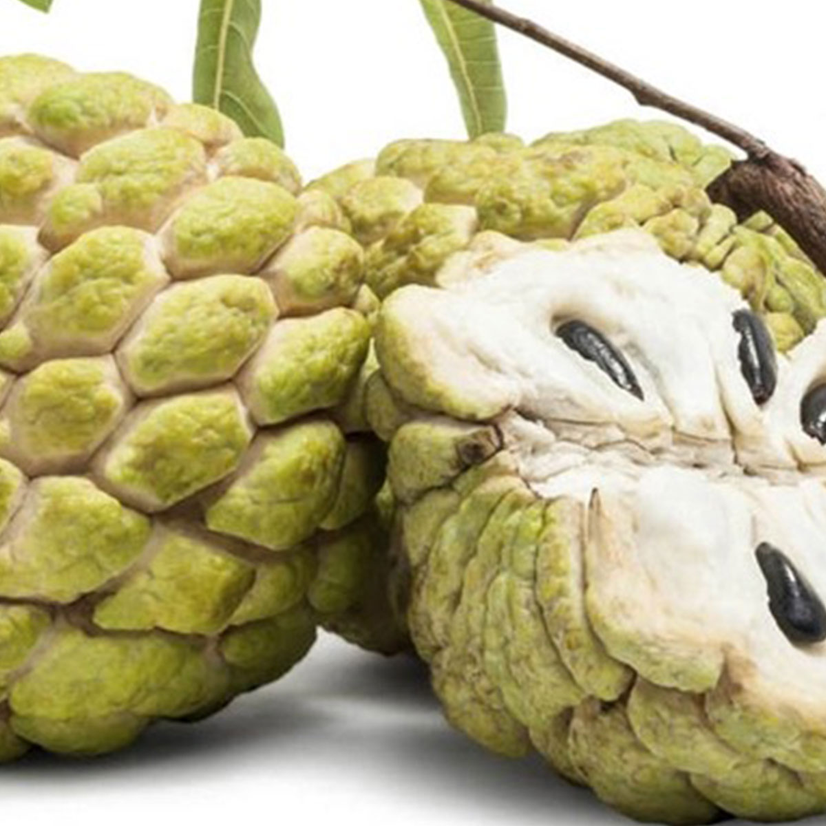 নিয়মিত আতা খান