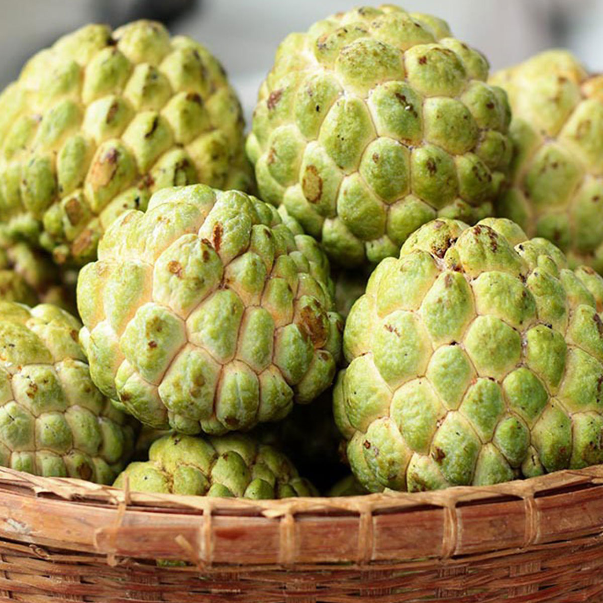 নিয়মিত আতা খান