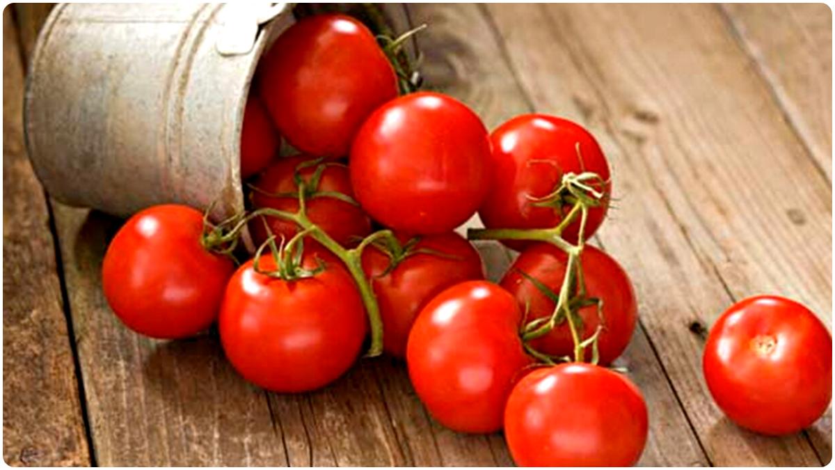 Harmful Effects Of Tomatoes শুধু ইউরিক অ্যাডিস নয়, এই ৪ স্বাস্থ্য