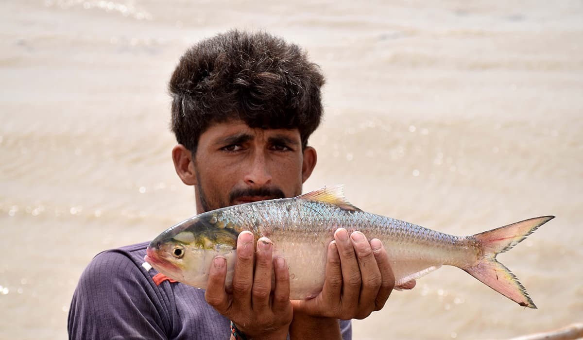 আগুন দাম