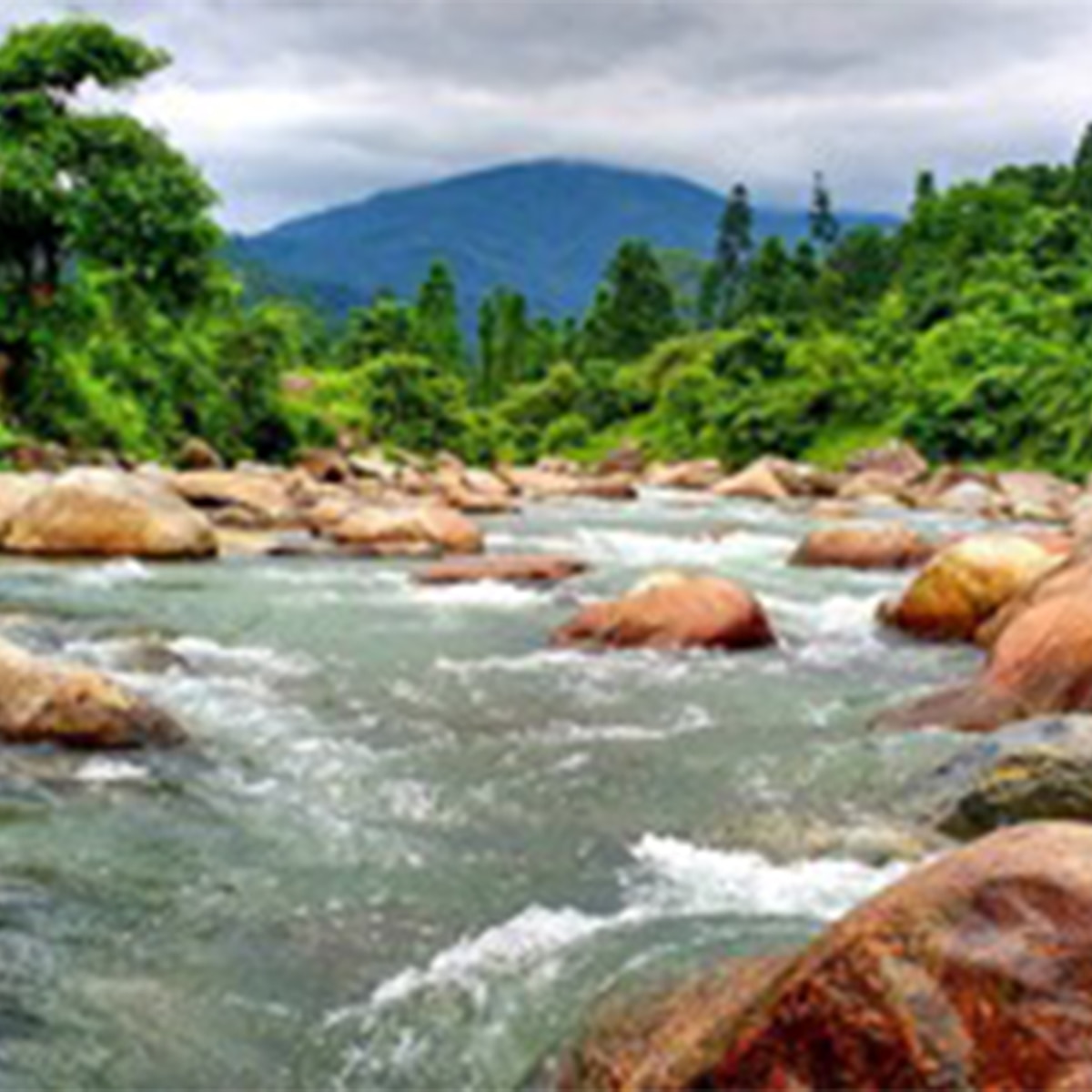 ডুয়ার্স