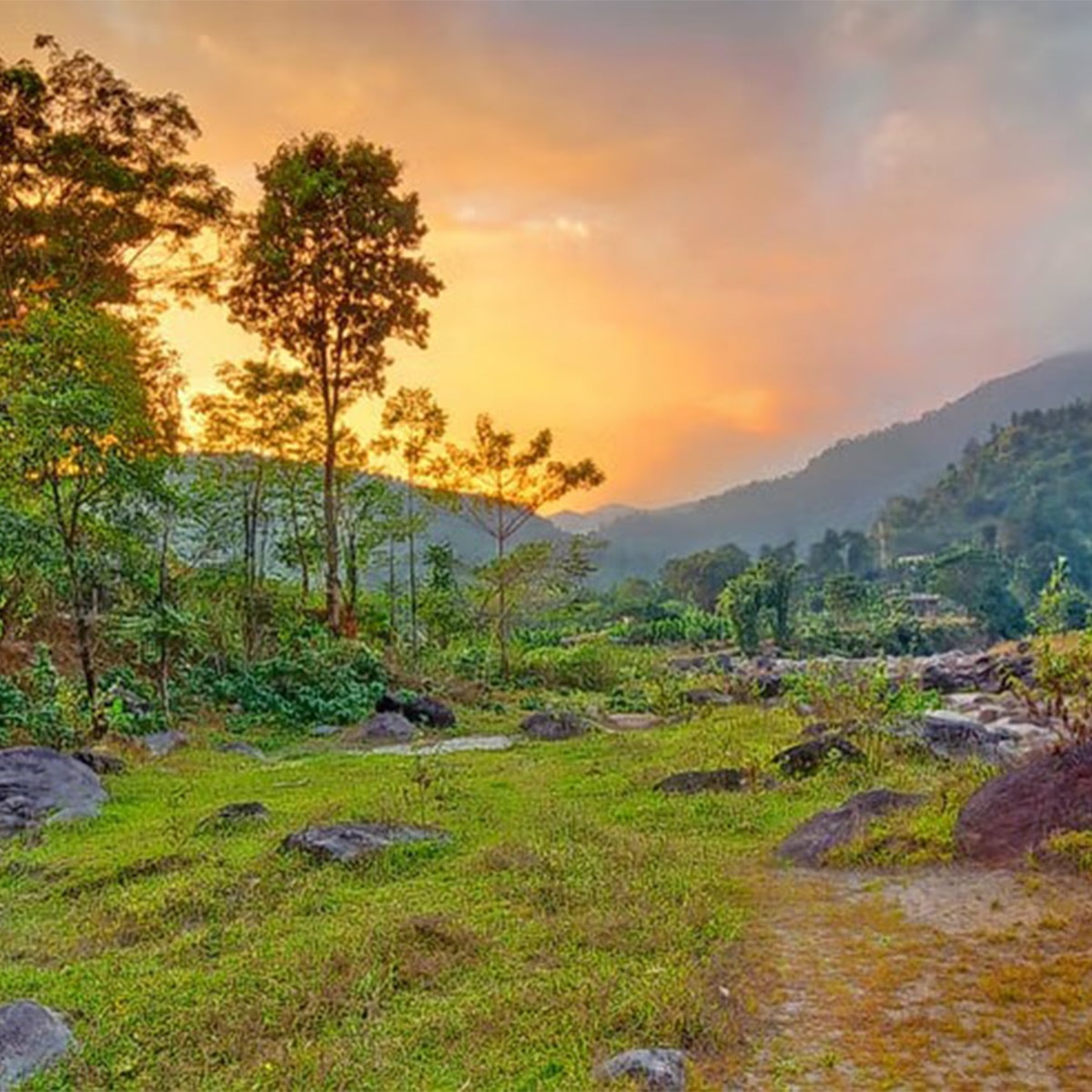 বুড়িখোলা