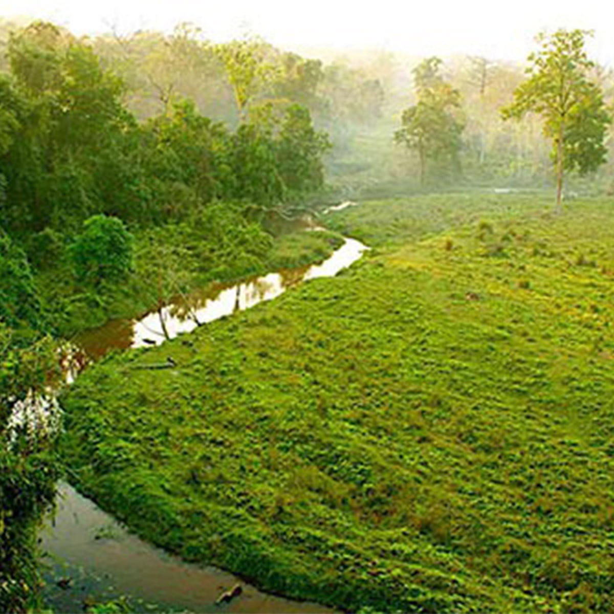 বুড়িখোলা