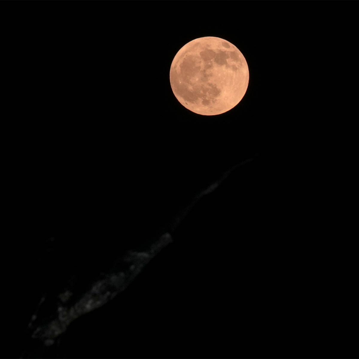 চন্দ্রগ্রহণ