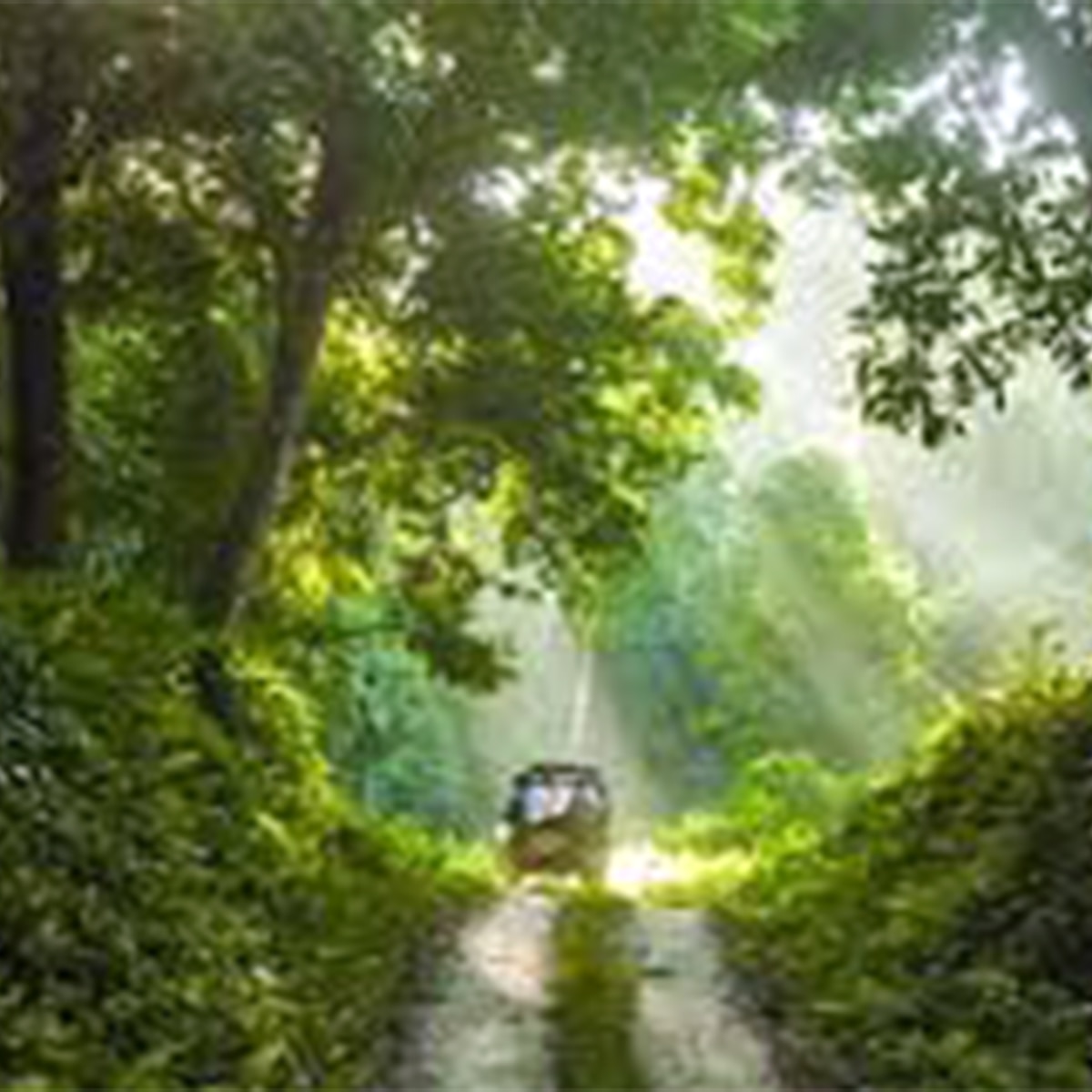 ডুয়ার্স