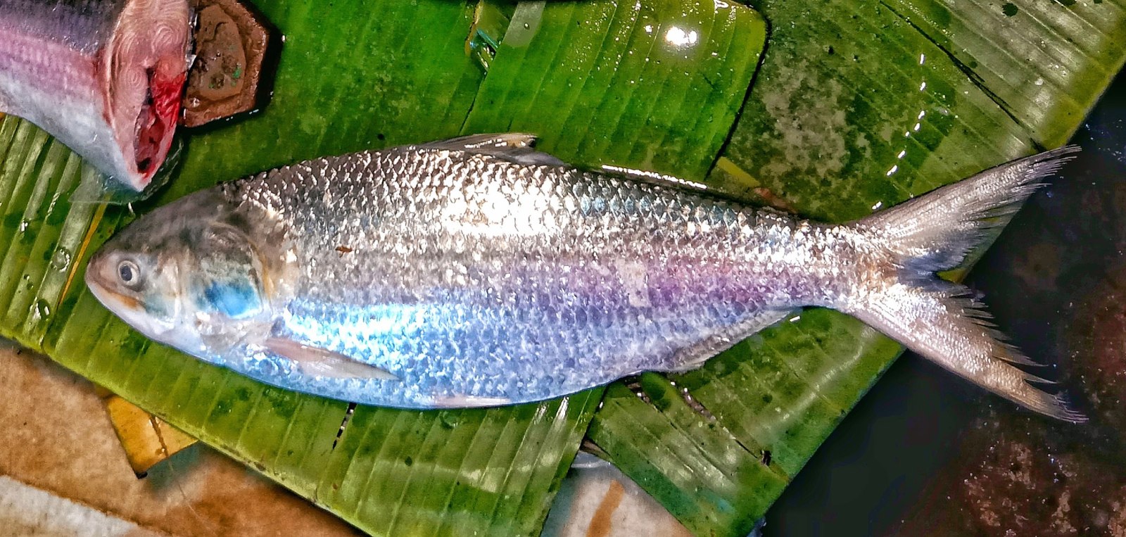 ধাপে ধাপে সরবরাহ