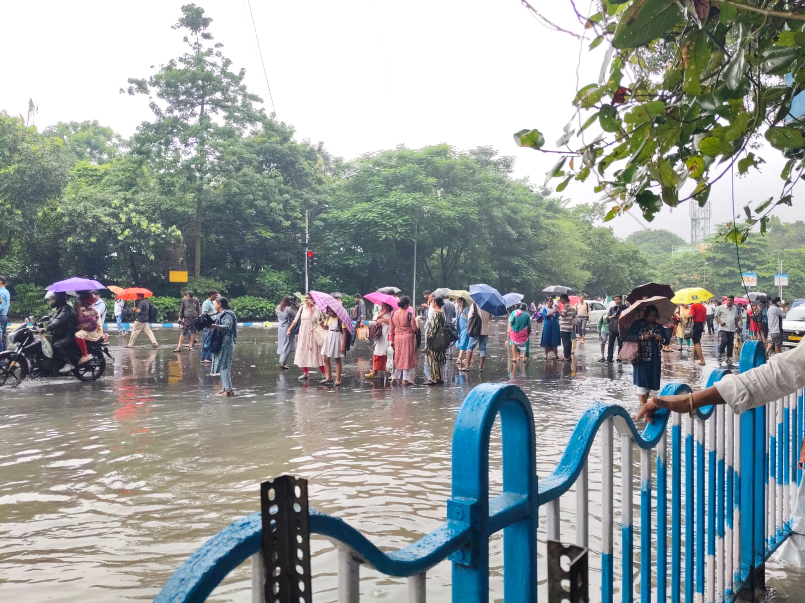 যাত্রীরা বাস বা অন্য যানবাহনের খোঁজে