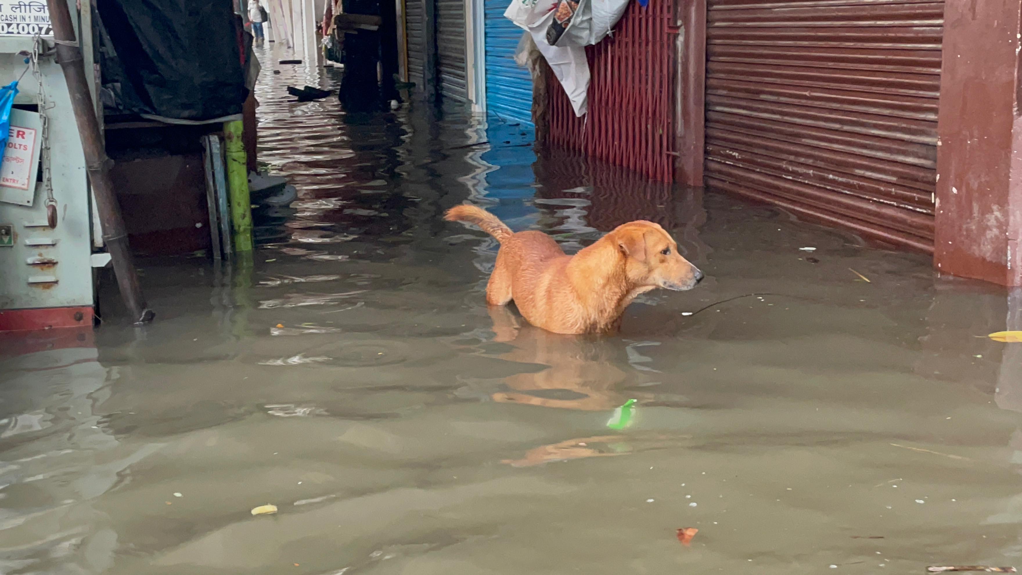 বেশ কিছু গুরুত্বপূর্ণ ট্রেন ছাড়তে পারেনি
